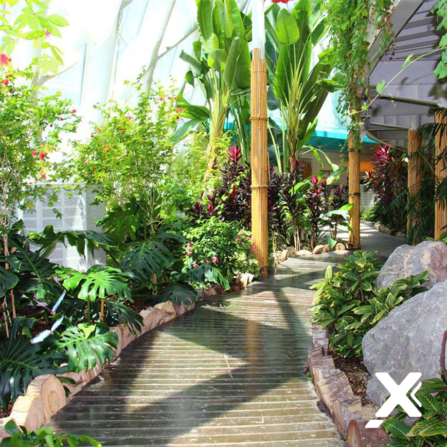 Tropikal Kelebek Bahçesi: Konya'nın Cennet Köşesi